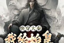 完结版《快穿大秦：我给始皇当左相》免费阅读-有文学