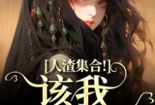 洛芷魏智小说完整版《人渣集合！该我收割了》免费阅读-有文学