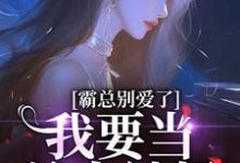 宋稚傅律小说完整版《霸总别爱了，我要当单身辣妈》免费阅读-有文学