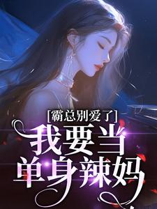 宋稚傅律小说完整版《霸总别爱了，我要当单身辣妈》免费阅读