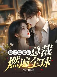 完结版《协议离婚后，总裁燃遍全球》免费阅读