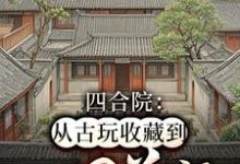 免费看四合院：从古玩收藏到世界首富小说的网站有哪些？-有文学