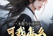 秦泽完整版《本想当小透明，可我怎么无敌了！》小说免费阅读-有文学