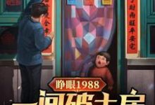 睁眼1988一间破土房俩没娘娃小说阅读，睁眼1988一间破土房俩没娘娃完结版-有文学