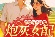 完结版《结婚四年没见，炮灰女配她不离了》章节阅读-有文学