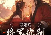 完结版《联婚后，将军你别太心动》免费阅读-有文学