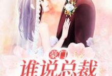 小说完整版《豪门：谁说总裁他不近女色》免费阅读-有文学