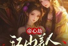 霁无霞南宫婉清小说完整版《帝心劫：江山美人两不负》免费阅读-有文学