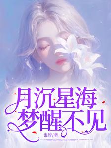 小说《月沉星海，梦醒不见》完整版在线章节免费阅读