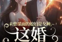 《未曾谋面的媳妇是女神，这婚不离了》顾衍掣盛知夏小说免费阅读完整版-有文学