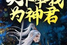 小说《玄幻：被迫出手后，天下奉我为神君》完整版章节免费阅读-有文学