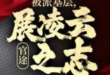 完结版《官途：被派基层，展凌云之志》章节阅读-有文学