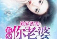 完结版《独家蜜宠：霍少，你老婆被拐了》在线免费阅读-有文学