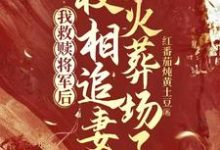 我救赎将军后，权相追妻火葬场了小说全文阅读需要付费吗？寻找免费资源-有文学