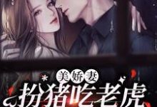 完结版《美娇妻扮猪吃老虎，爆改懒汉老公》章节目录在线阅读-有文学