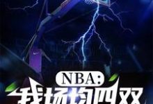 NBA：我场均四双，得分为零小说最新更新在哪里？免费在线看-有文学