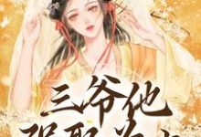 完结版《三爷他强娶为上》章节目录在线阅读-有文学