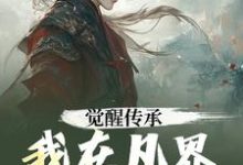 《觉醒传承，我在凡界斩妖除魔》小说免费阅读完整版-有文学