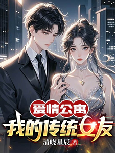 完结版《爱情公寓：我的传统女友》免费阅读