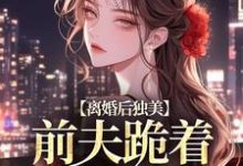 小说《离婚后独美，前夫跪着求原谅》完整版章节免费阅读-有文学