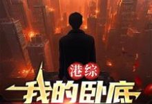 王莽阮梅完整版《港综：我的卧底遍布香江》小说免费阅读-有文学