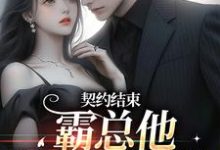 宋清殊盛熙川完整版《契约结束，霸总他跟我玩套路》小说免费阅读-有文学