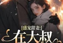 完整版《盛宠甜妻：在大叔怀里沦陷》小说免费阅读-有文学