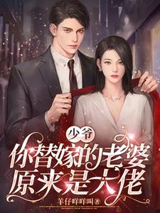 完结版《少爷，你替嫁的老婆原来是大佬》章节阅读