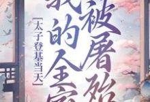 安容锦姜卿云小说完整版《太子登基当天，我的全家被屠殆尽》免费阅读-有文学