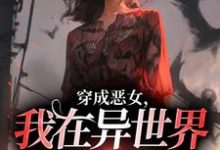 小说完整版《穿成恶女，我在异世界重拳出击！》免费阅读-有文学