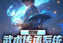 完结版《觉醒武术传承系统，我无敌于世》章节目录在线阅读-有文学