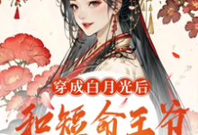 小说完整版《穿成白月光后，和短命王爷HE了》免费阅读-有文学