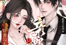 宋书凝郁琛完整版《娇妻勾人：离婚个球！只想亲哭她》小说免费阅读-有文学