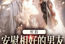 完结版《忙着安慰相好的男友，不知我要结婚》章节阅读-有文学