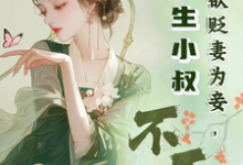 夫君欲贬妻为妾，重生小叔不干了这本小说在哪里可以看？哪里有免费试读章节？-有文学