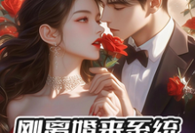 小说完整版《刚离婚来系统，反手撩前妻闺蜜》免费阅读-有文学