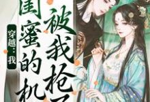 梅久傅砚辞完整版《穿越：我闺蜜的机缘被我抢了》小说免费阅读-有文学