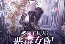 完结版《被标工具人？恶毒女配甩男主求自由》章节目录在线阅读-有文学