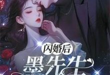 完结版《闪离后：墨先生别来无恙》章节阅读-有文学