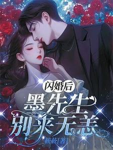 完结版《闪离后：墨先生别来无恙》章节阅读