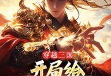 诸葛明小说完整版《穿越三国，开局给诸葛亮送火箭》免费阅读-有文学