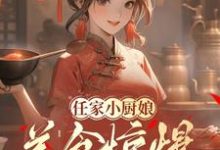 任家小厨娘：美食惊爆古代全天下任婉清，任家小厨娘：美食惊爆古代全天下小说免费阅读-有文学