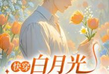 完结版《快穿：白月光爆改黑莲花》在线免费阅读-有文学