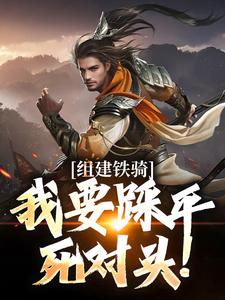 吕岩小说完整版《组建铁骑，我要踩平死对头！》免费阅读